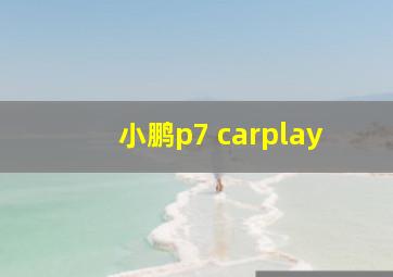 小鹏p7 carplay